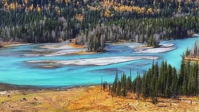 喀纳斯的秋色，最治愈人心，它能满足你对秋天的所有幻想和期待。#音乐 #治愈 #喀纳斯 #旅行大玩家 