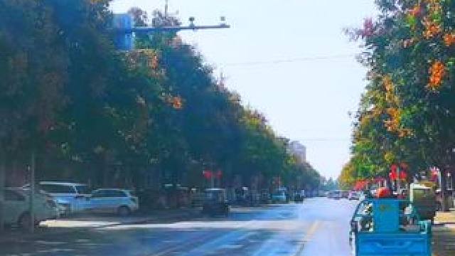 #人生如逆旅我亦是行人