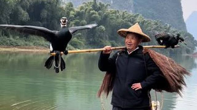 #山青水秀好风光游山逛水看风景 #就想在桂林看山山水水 #游山玩水释放心情 #旅行推荐官