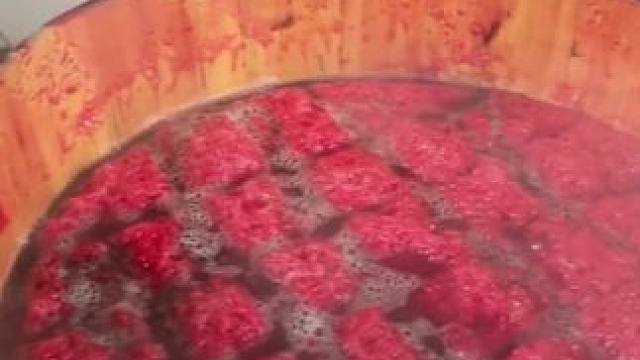 #家的味道 #真材实料才能做出好味道 #好吃又营养 