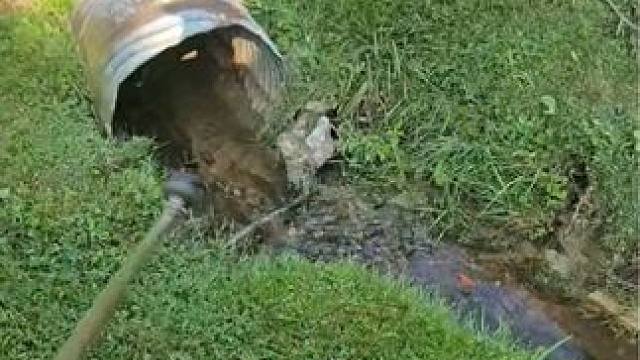 庭院除草护理员，含泪赚个2500！ #除草视频解压 #解压视频 #强迫症看了很享受 #草坪 #打草机