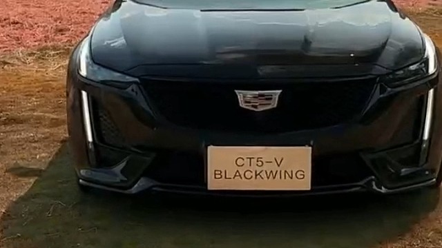 还有几个月就过年了 年底拿下它对你来说应该不是问题吧#凯迪拉克ct5