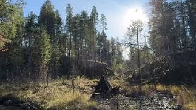 河畔露营 #露营报告