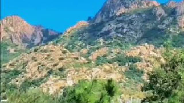 #农村生活 #平度市大泽山之行（3）平度市大泽山镇位于山东省青岛市的北部。大泽山