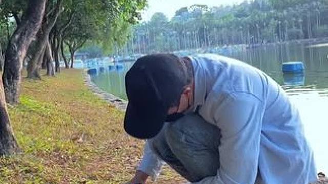 走路试试这样拍，教你用一片树叶拍创意视频。#手机摄影 #拍摄技巧 #走路 #慢动作 #治愈系风景