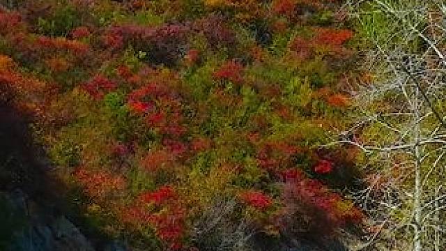 国道207山西晋城市陵川县夺火乡段沿途太行山秋色 #太行山 #旅行推荐官 #最美的风景在路上