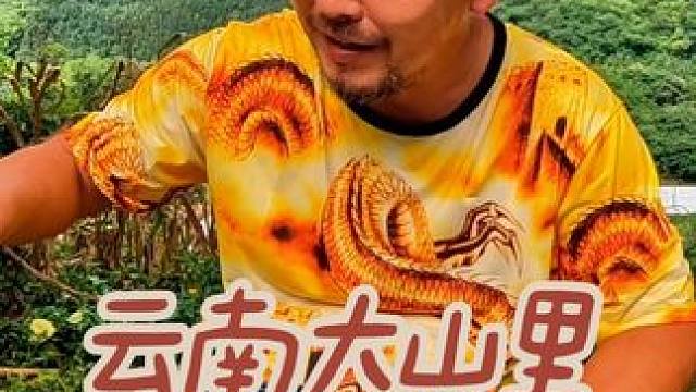 云南山路十八弯6个小时走了150公里，露营大山里晚餐#自驾游