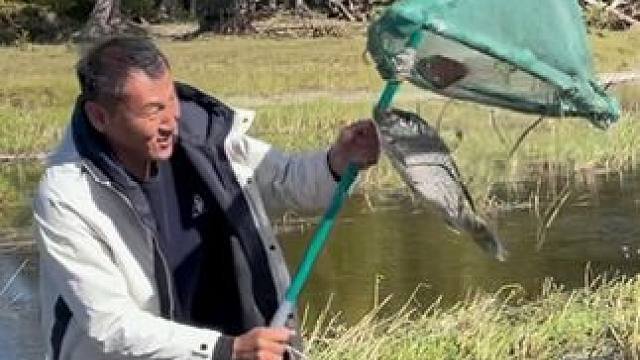 #户外捕鱼 #好大一条鱼