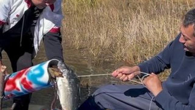 #户外捕鱼 #好多鱼