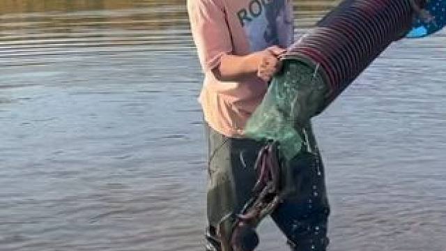 #户外捕鱼 #好多鱼