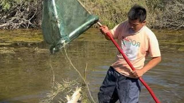 #户外捕鱼 #好大一条鱼