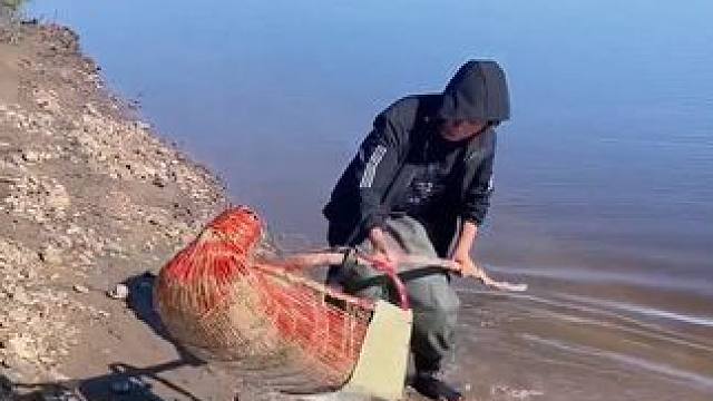 #户外捕鱼 #好多鱼