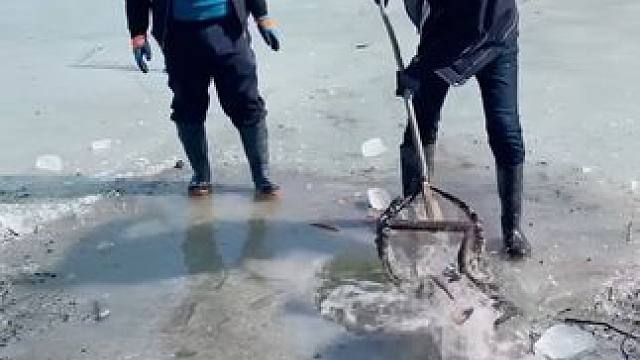 #户外捕鱼 #好多鱼