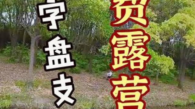 免费露营地分享 #露营 #免费营地 #野地 #热点