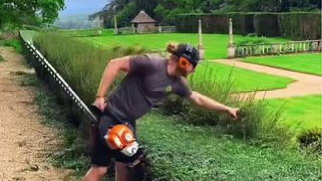 #除草视频解压 #解压视频 #极度舒适 #强迫症看了很享受 #舒服又解压