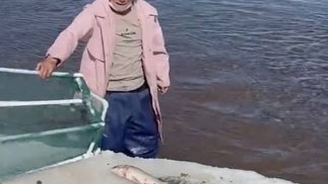 #户外捕鱼 #好多鱼