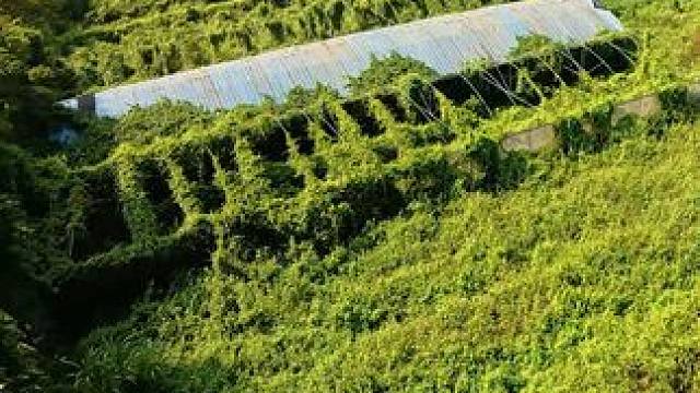 这个地方练习 简直就是舒服 #穿越机fpv #穿越机入门 #穿越机