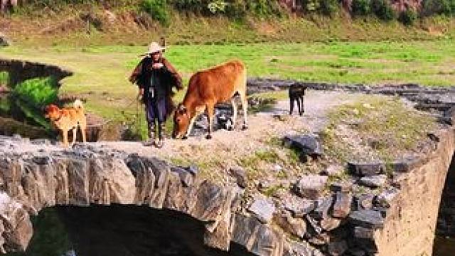 那桥，那山，那人，那牛，那狗，#来咯来咯真的来咯 #我又来送图啦 #视觉效果