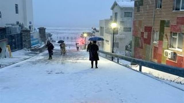 要是今年 能跟你去海边看雪就好了.
#威海 #氛围感 #去年冬天