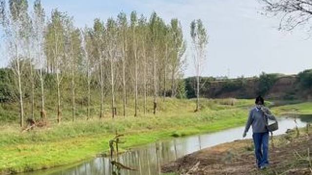 说我仰住二信脸 咋了又#田间地头 #乡愁记忆 #农村生活