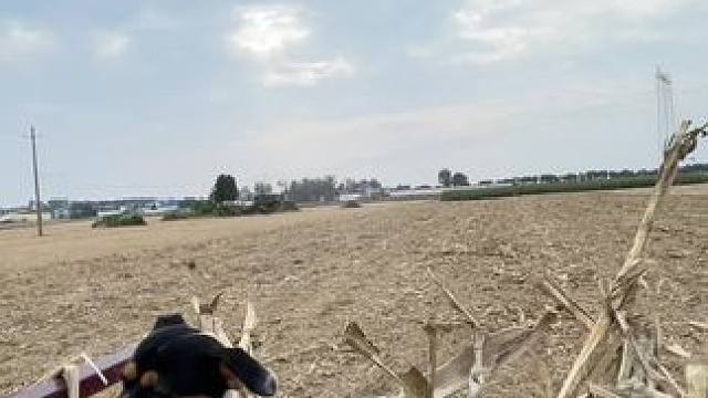 说住慢点非跑嫩快
一会地头拐弯撂沟里 咋弄#田间地头   #乡愁记忆 #农村生活