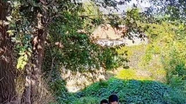 #农村生活 #老家在山区#平度市大泽山之行（4）我们的这次大泽山之行，是有这两位平度老弟来当导游的，