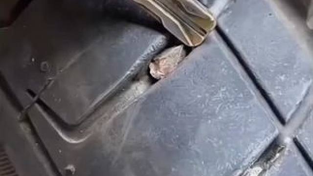 我发布了一个新视频，快来围观吧！