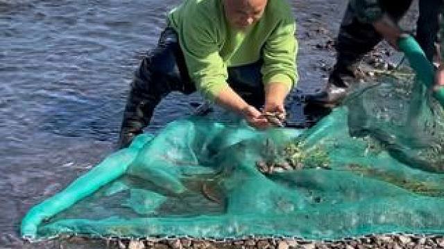 #户外捕鱼 #好多鱼