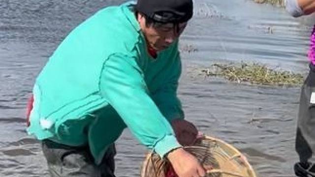 #户外捕鱼 #好多鱼