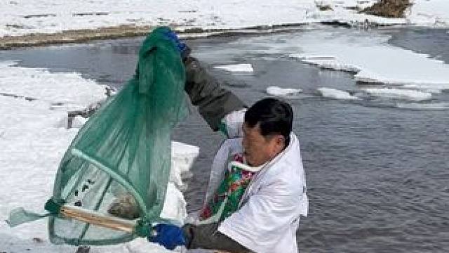 #户外捕鱼 #好大一条鱼