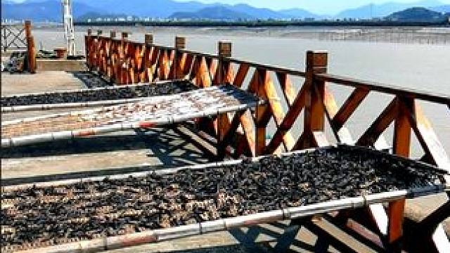 温州西门岛海鲜码头，吃海鲜，观海景的好地方。