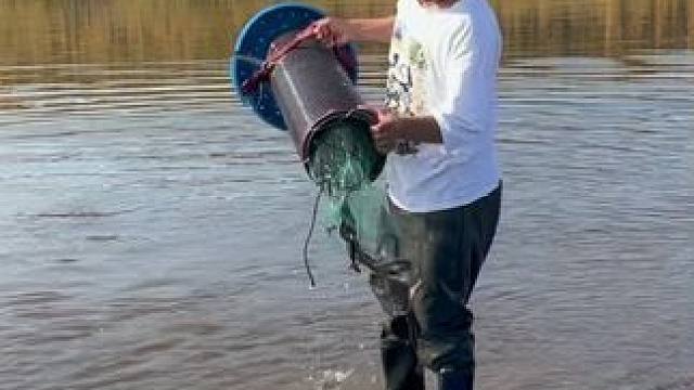 #户外捕鱼 #好多鱼