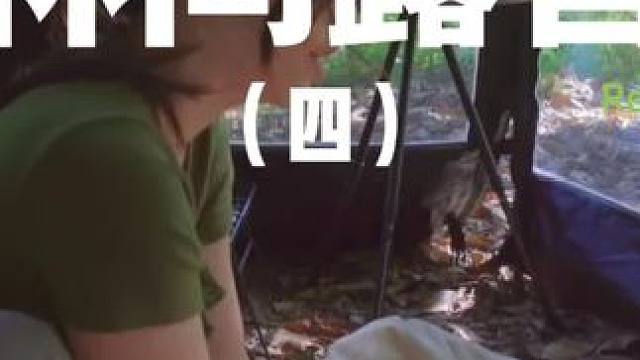 林间露营（四）#露营 #解压 #助眠 #极度舒适 #户外露营
