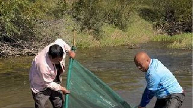 #户外捕鱼 #好多鱼