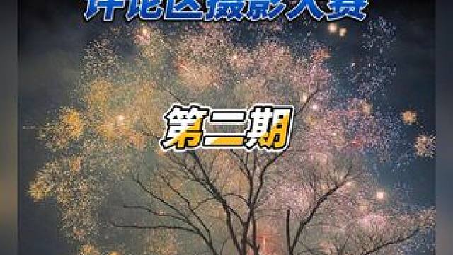 评论区摄影点评|第二期 东风夜放花千树。更吹落，星如雨,这一刻有了具象话体现.#摄影作品点评 #拍摄