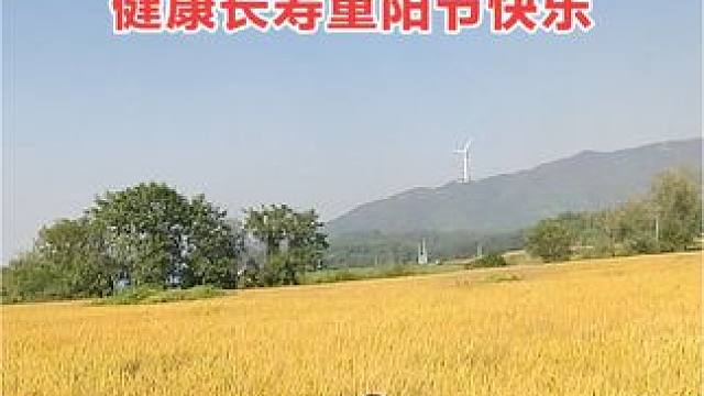 山卡卡里的农村大姐学费了开直播每天收获满满您还在恐播怕播不敢开播开播了不知说什么吗#记录真实生活 #