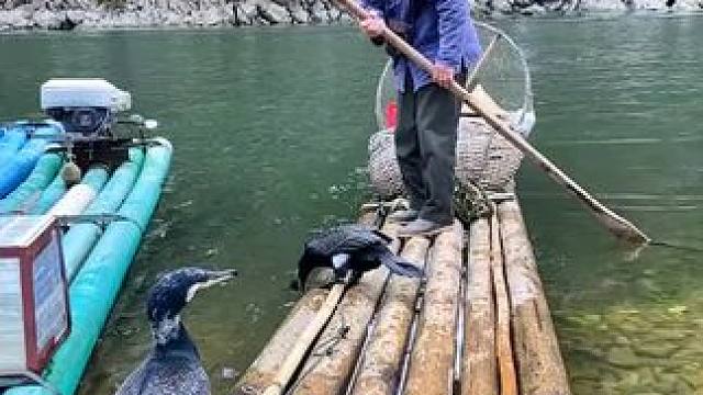 #山青水秀好风光游山逛水看风景 #就想在桂林看山山水水 #游山玩水释放心情 #旅行推荐官