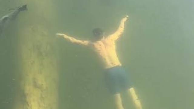 这鱼哪个钓友看了不羡慕~