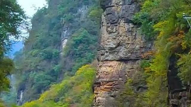 湖北神农架林区九松线公路沿途秋色 #最美的风景在路上 #旅行推荐官 #神农架