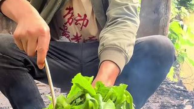 #我的乡村生活 #农村美食 #晒美食是对平凡生活的热爱 今儿这蒜蓉油麦菜好好吃啊