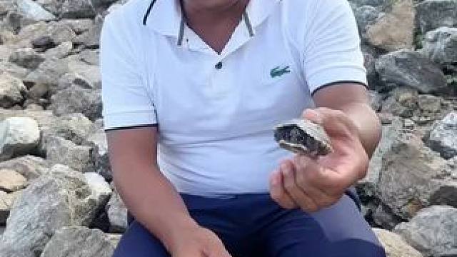 东南亚矮子 #泰国生活 #泰国旅游