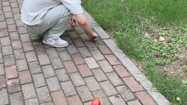 我发布了一个新视频，快来围观吧！