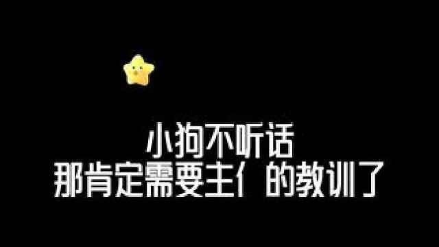 小狗要乖才行
