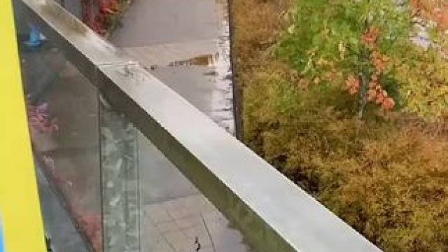 笑眯眯的铿仔～和低头玩手机的阿昶，两只可爱小狗两小只都好乖呀半决赛加油啊！
#梁王组合#王昶梁伟铿#