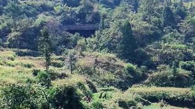 藏在大山深处的村庄，这里以前有四户人家在此居住，现在没有一户人家了！这里公路，没有wife，做饭还要