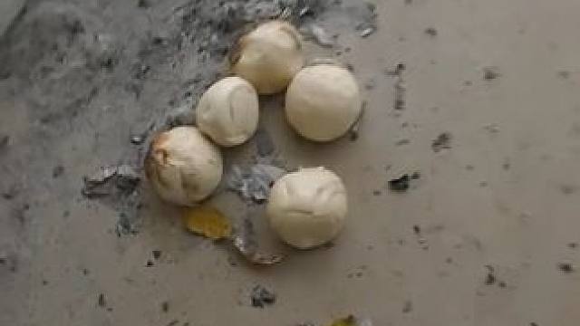 #废弃别墅 #探险