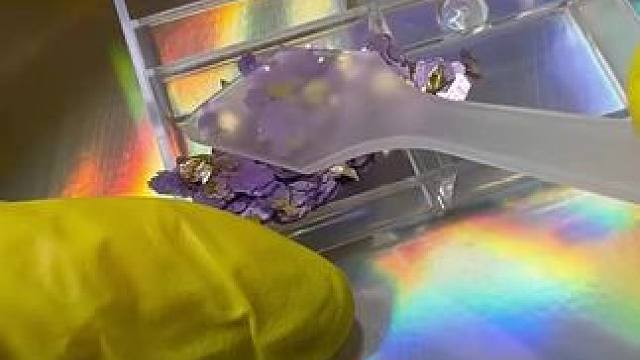 外国小姐姐沉浸式打包化妆品 #助眠解压 #解压视频 #解压声控 #强迫症治愈系