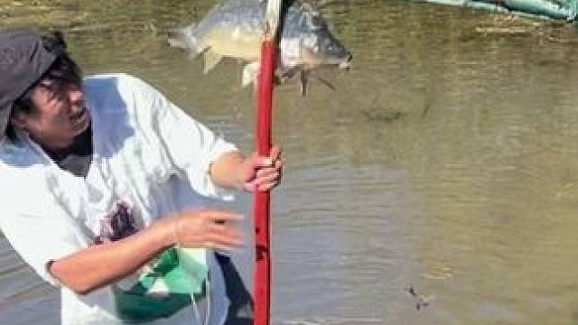 #户外捕鱼 #好大一条鱼