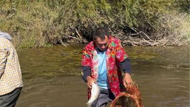 #户外捕鱼 #好多鱼