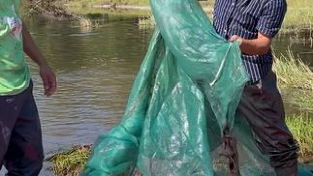 #户外捕鱼 #好多鱼